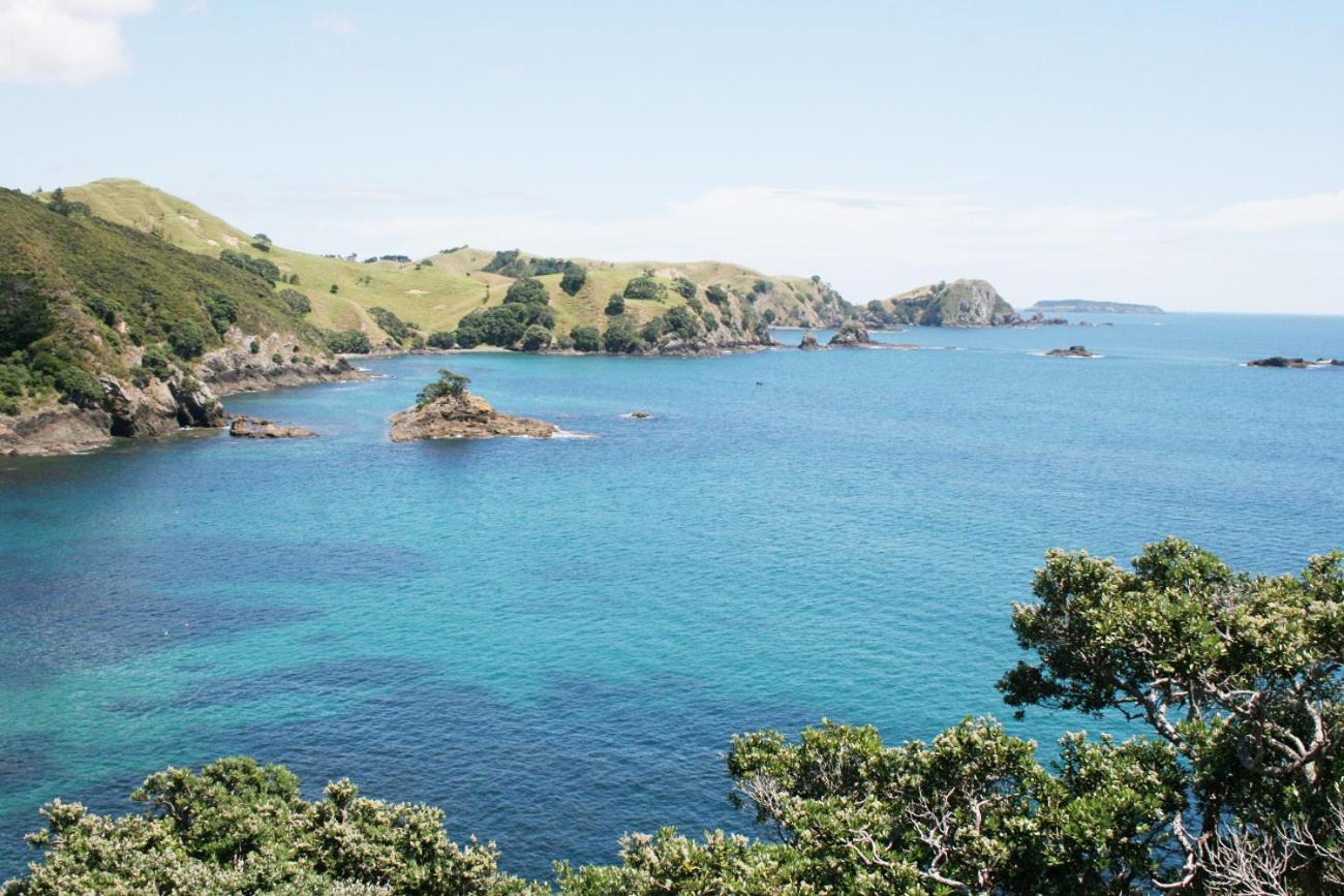 Perfect Base In The Bay Of Islands Apartment Opua ภายนอก รูปภาพ