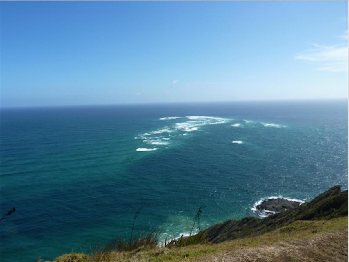 Perfect Base In The Bay Of Islands Apartment Opua ภายนอก รูปภาพ
